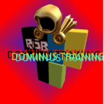 Dominus training