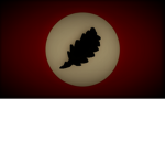 Austro-Sudo Armed Forces