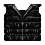 Black Moncleezy Puffer Vest [1.0]