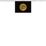 Yellow_ Moon