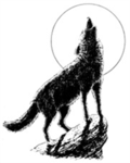 wolves of darkness