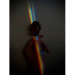 Rainbow rose clothes