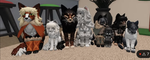 <warrior cats and wings of fire fans only>