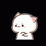 !TheKittyz!