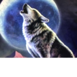 #Wolf-Pack