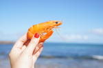 Non-Liking Shrimp group