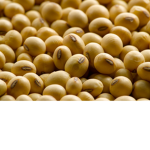 Soy boys