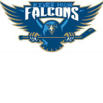 River High Falcons