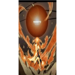 Naruto:Forbidden Legends