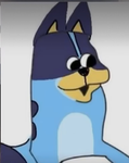 Jake vr TY