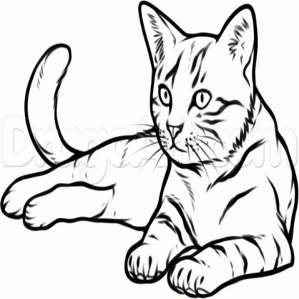 Cat Roblox decal