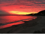 - Malibu Clothing -