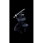 The ninja grup