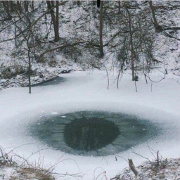 ꙳*