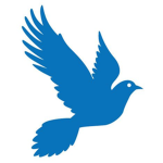 BlueBirdStudios