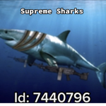 Supreme Sharks