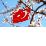 KANKALAR Enes21