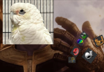 Group Thumbnail