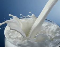Drinking Milk Tutorial