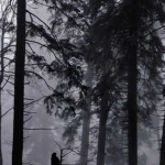 myrthn2 Group Thumbnail