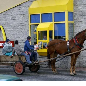 Vaslui Sim [FRESH] [NEW] [COOL] [FREE WIFI]