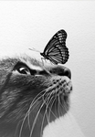 Warrior cats rp’s!