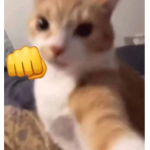 -J-