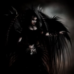 noctifer