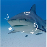 ~*Sharkies*~