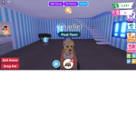 Dog love United