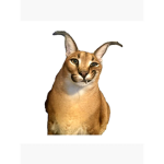 Bunnyphyx fan group