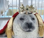 seals of chaos
