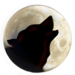 Wolf Academy Of Darkness