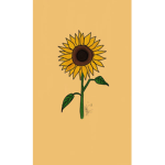 ~Sunflower sunset safari