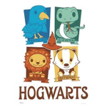 * Harry Potter Fan Club *