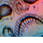 dream's core