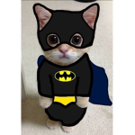 bat.man