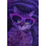 ~Crazy Cats~