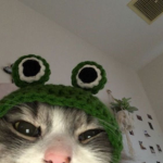 ᴛʜᴇ ғʀᴏɢɢʏ ᴀʀᴍʏ!!
