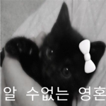 ~알 수없는 영혼~