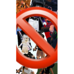 Anti roblox wannabes