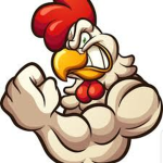 ||- The Chicken Coop -||