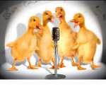 DUCKSing