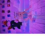 evelynbluedolphin7