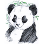 The Fierce Panda Studios