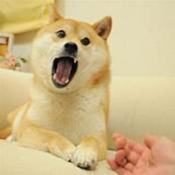 [NEW!] Doge World!