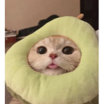 OmgLittle