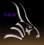 The Hooded assasins