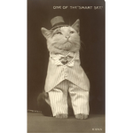 Catty’s clothes