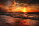 JustVibes :>